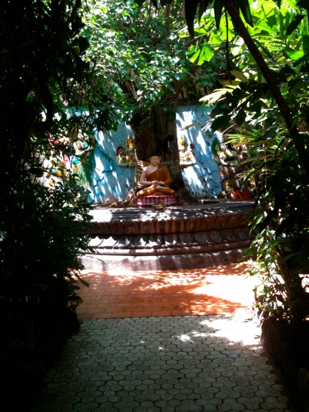 IMG 0571