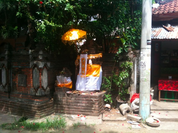 IMG 0608